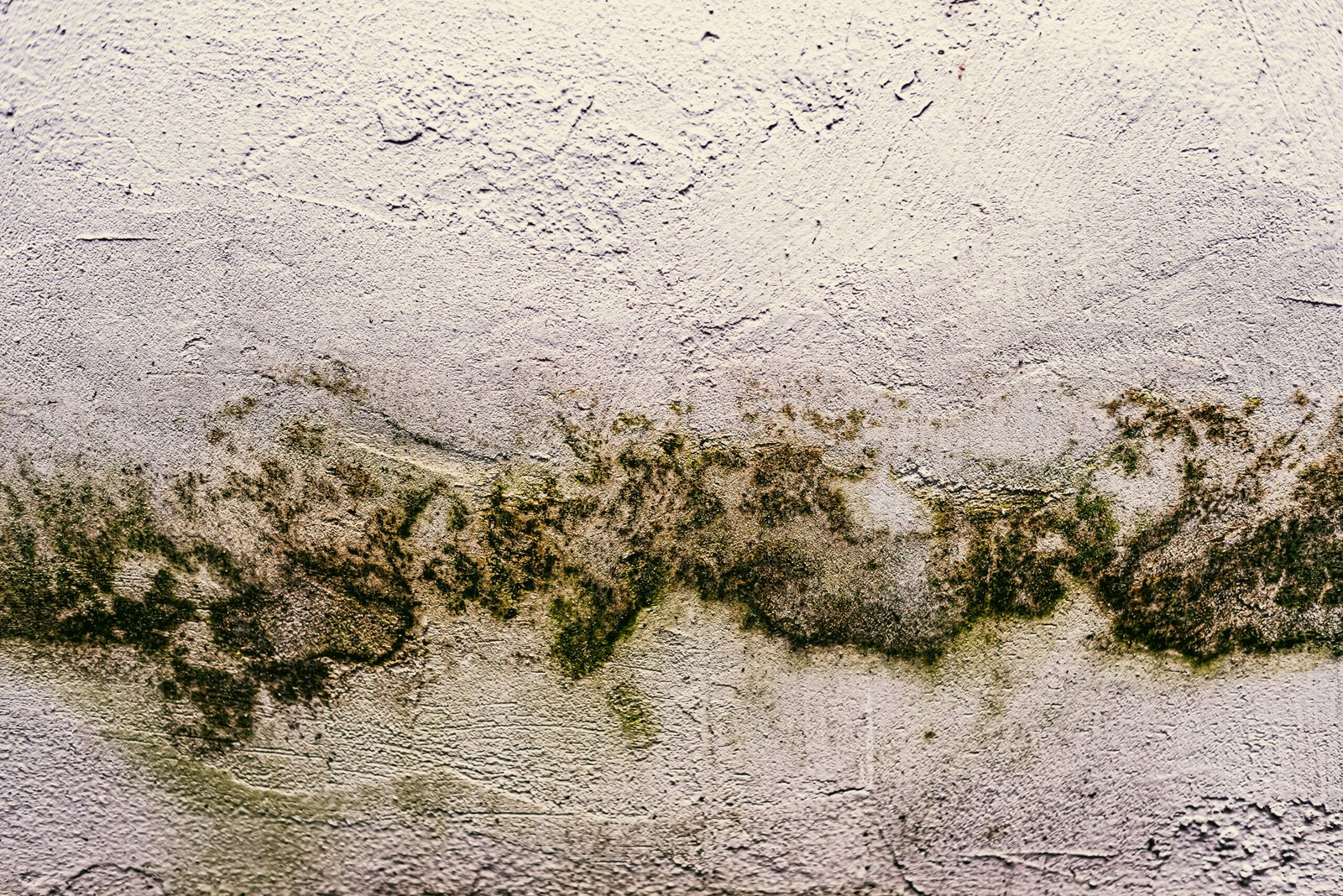 Stucco Water Intrusion